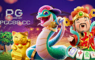 星空全站2024最新版