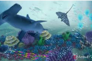 星空全站桌面版客户端